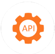 Flexible API